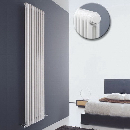 Стальной трубчатый радиатор отопления IRSAP TESI 21800 T30 6 секций 